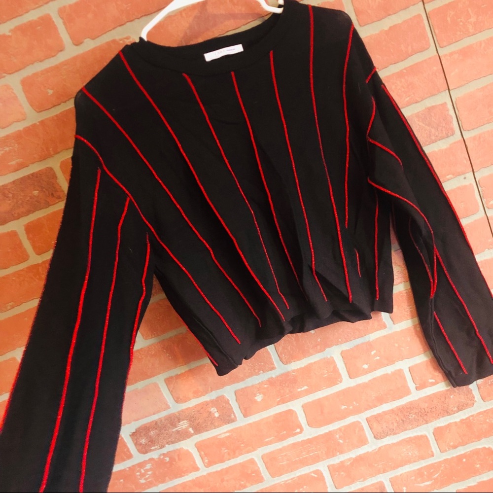 ZARA crop long sleeve blouse